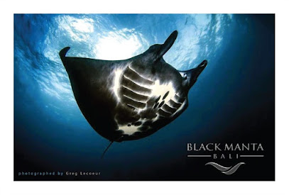 Black Manta Bali managed by Oceanic Flow