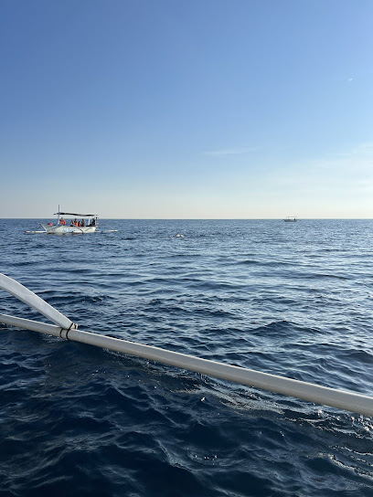Lovina Ocean Dolphin Tour