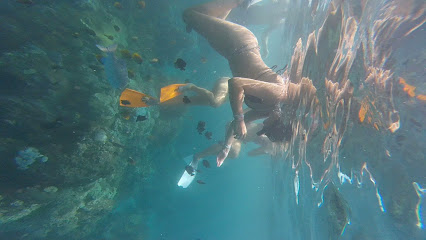 SNORKLING TRIP WITH MANTA RAY & TOUR ISLAND