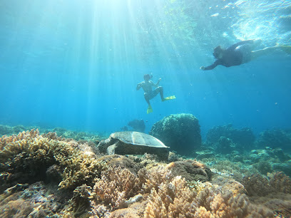 Lombok private snorkling