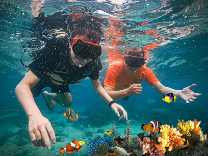 Snorkeling Gili Ketapang Probolinggo