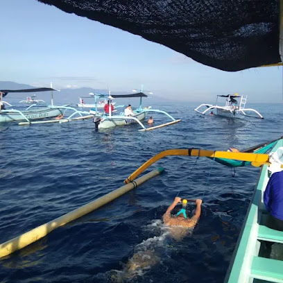 Ngurah Dolphin Tour