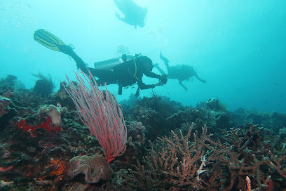 Alexa Scuba Dive Center and Training