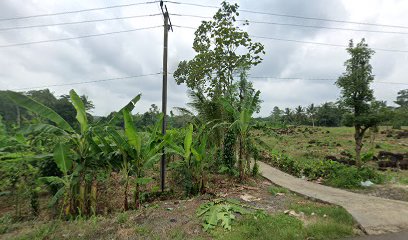 Way Cekang