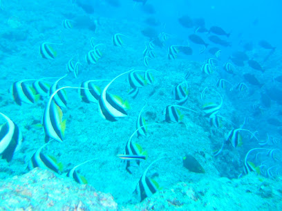 Amami Diving center Tome