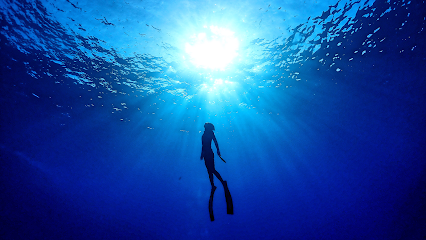ＳＵＮＳＥＡ
