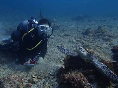 Aqua Style Yakushima Dive Guide