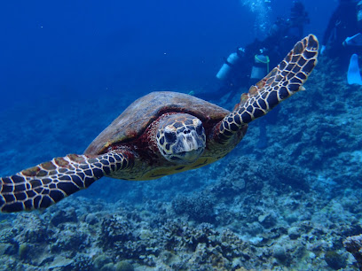 海潜隊沖縄