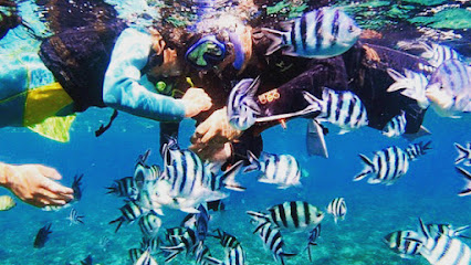SEALOVERS OKINAWA