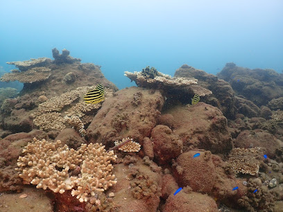 Kushioto Diving Center