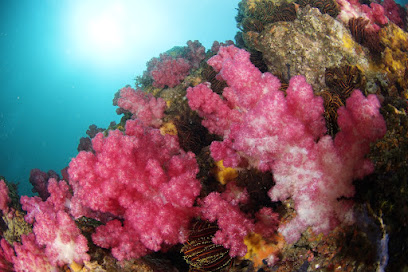 Hokkawa Diving Service