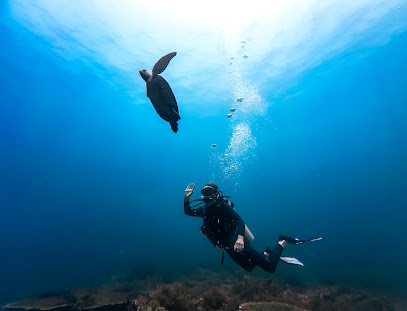 Quality Diving | DFS BORNEO SDN BHD