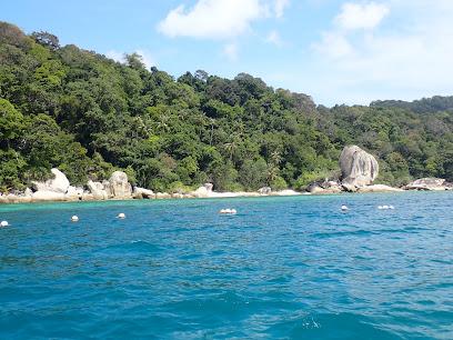 Shark Point