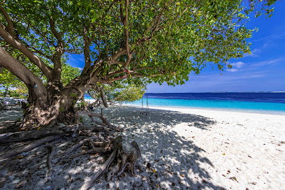Manta Tribe Maldives - Tauchzentrum
