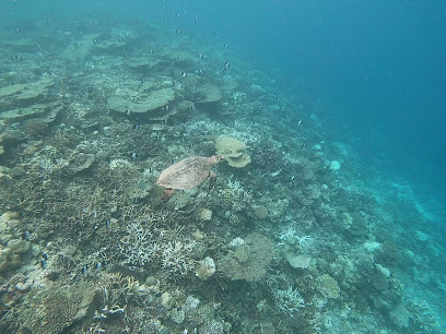 Blue Tribe Water Sports And Diving Centre