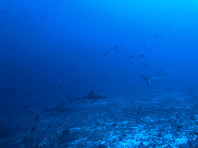 Fathu Dives