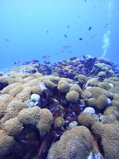 Sea Soul Maldives