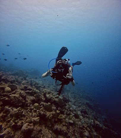 Manta Divers - Maldives