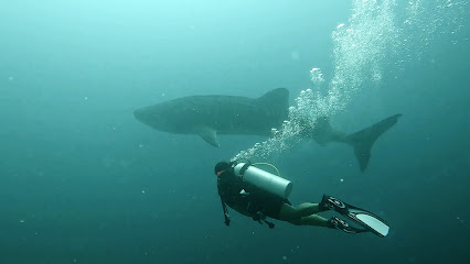 Go Divers Maldives