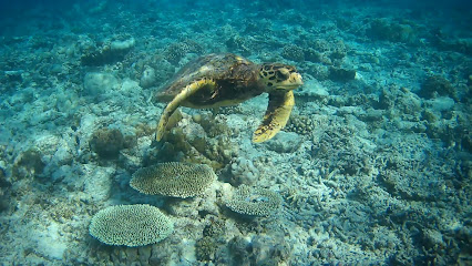 SUB AQUA DiveCenter Maldives Thulhagiri