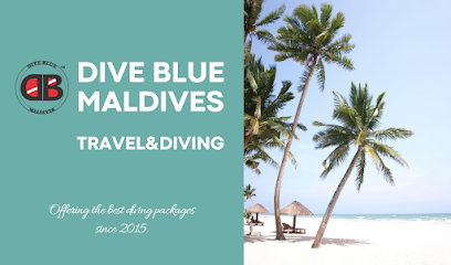 Dive Blue - Equator Dive