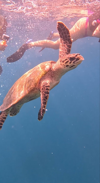 Diving Center