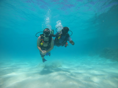 ACQUA ADVENTURES RASDHOO | DIVING & EXCURSIONS