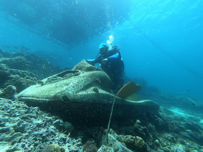 DARE DIVE