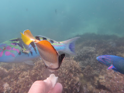SeaPark Diving