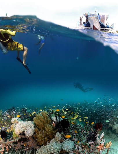 Scuba De Oro