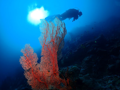 런디다이브 (Run.D Dive Resort)