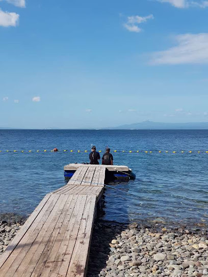 Anilao Diving, Underwater Photography|Dive Anilao/Batangas Philippines