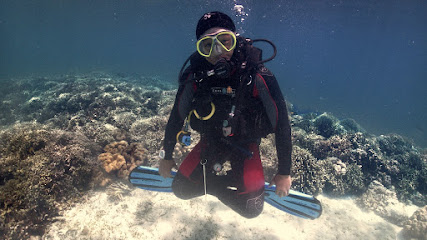 Alegria Scuba Diving