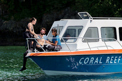 Mindoro Coral Reef Safari