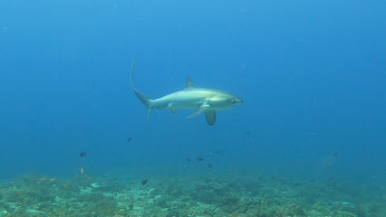 Ocean Passion Dive Center