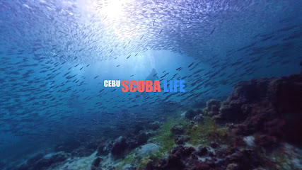 CEBU SCUBA LIFE