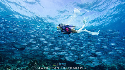 Fisheye Divers Boracay
