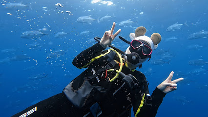 enjoy cebu dive