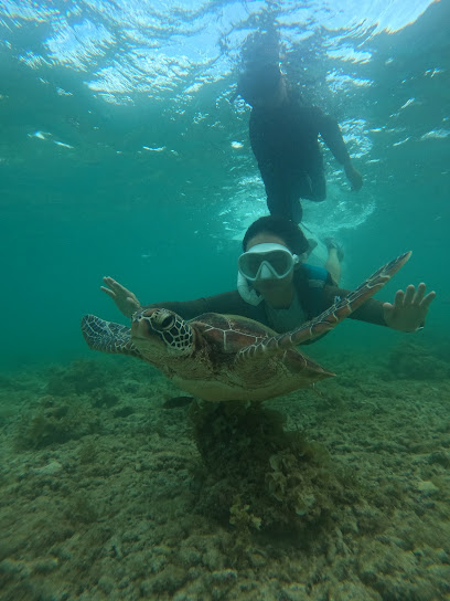 Dive Safaris Philippines GER