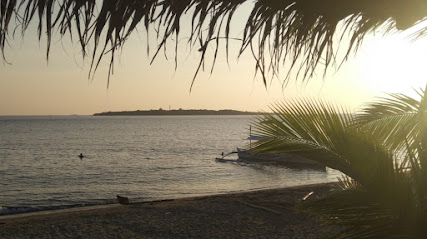 The Dive House
