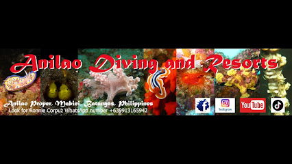 anilao diving and resorts