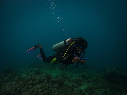 Pacific Divers