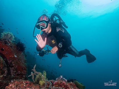 DM Diving Manila
