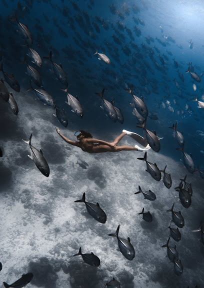 Camiguin Freediving