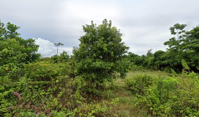 Plonger à siquijor avec Ben