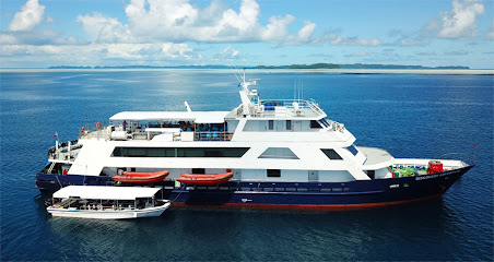 Discovery Fleet