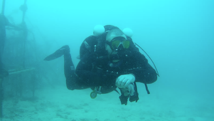 SEA Dive Travel Pte Ltd