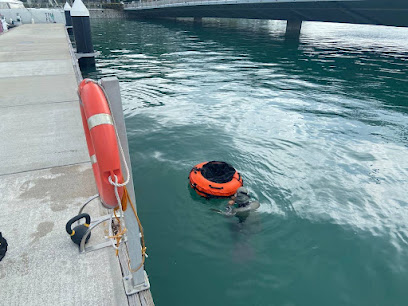 Urban Flow Freediving