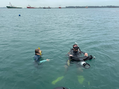 Marlin Divers