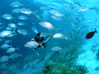 SeaU dive Center(씨유다이브)